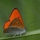 avatar_2225