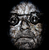 avatar_15903