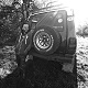 avatar_19619