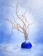avatar_10546