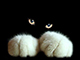 avatar_25403