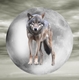 avatar_28626