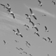 avatar_21536
