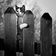 avatar_56126