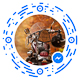 avatar_55641