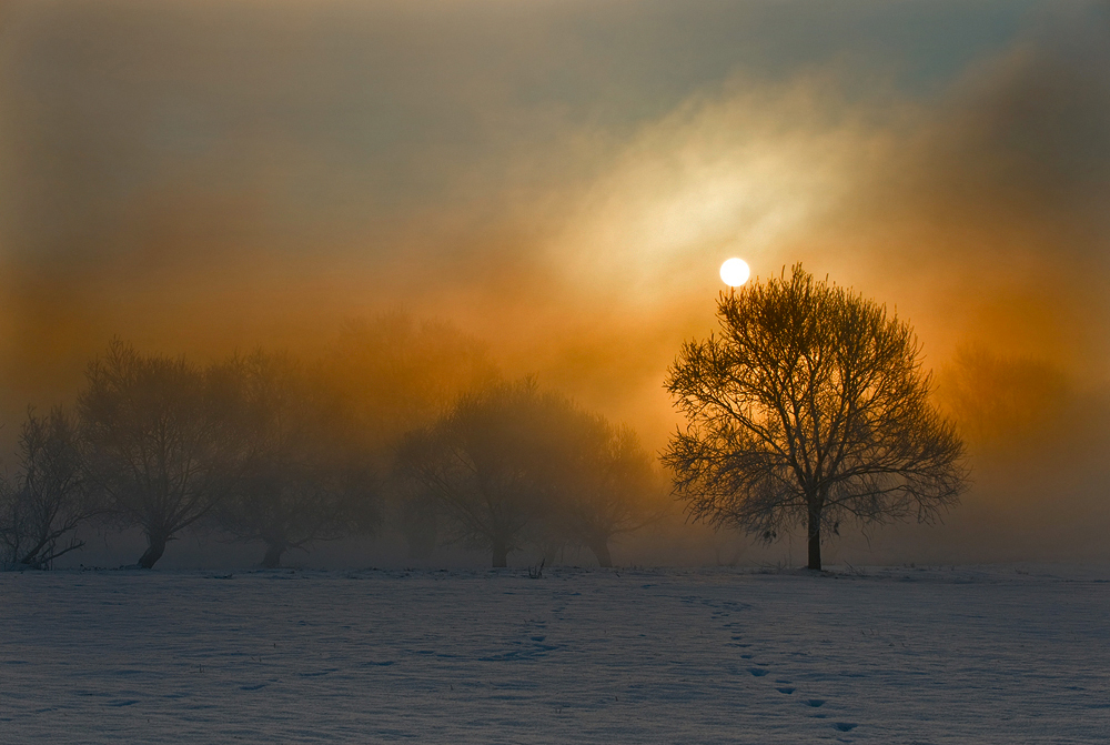 iść w stronę słońca...