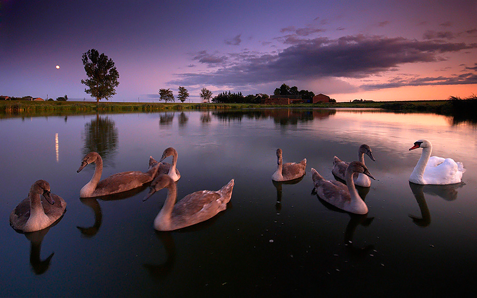 Rozmowy w blasku księżyca