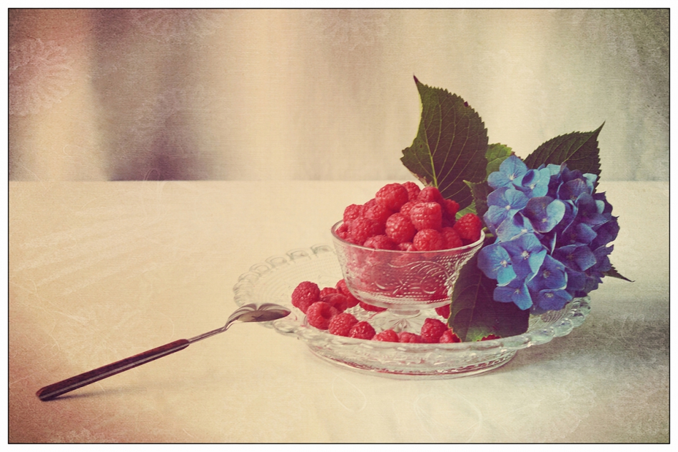 my  little Summerdream