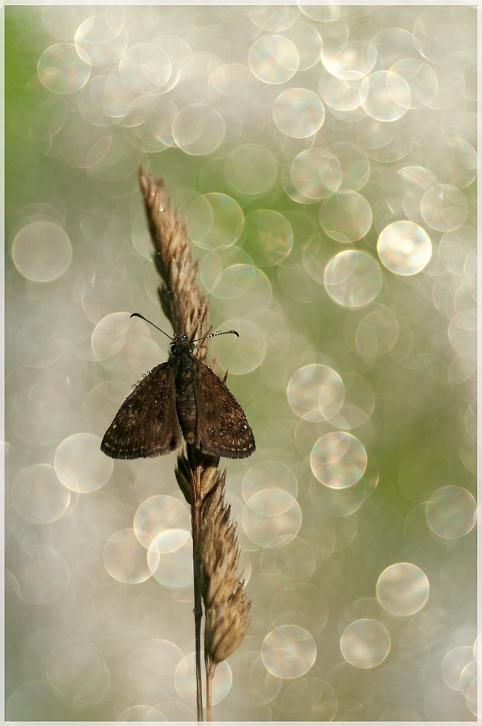 Le Temps et L'Espace